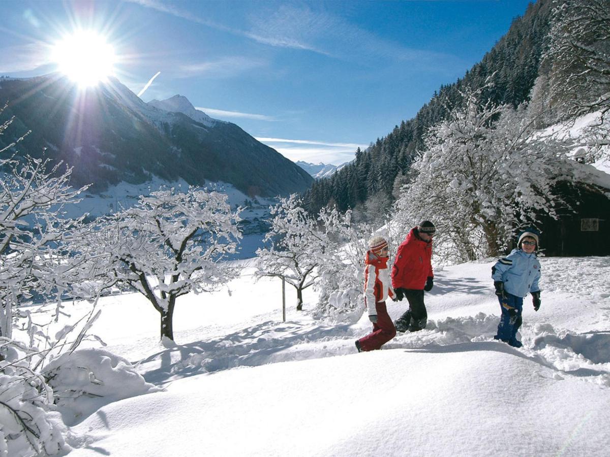 Landhaus Anja Appartamento Neustift im Stubaital Esterno foto