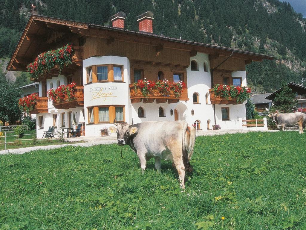 Landhaus Anja Appartamento Neustift im Stubaital Esterno foto